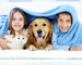Choosi Pet Insurance. 