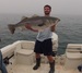 Captain Ryan Collins launched My Fishing Cape Cod this past season.  Membership base has quickly grown ever since.