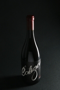 2006 Caliza Syrah
