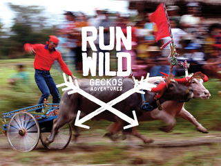Run Wild