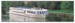 Cruise Experts