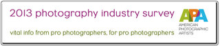 APA 2013 Photography Industry Survey APA 2013 Photography Industry Survey