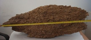 The Diamond Wood