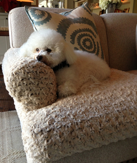 Dog Sofa Slipcover Corner Dog Sofa Slipcover Corner
