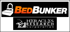 Bed Gun Safe