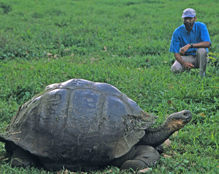 A rare glimpse of a giant tortoise on Natural Habitat Adventures� Galapagos Islands tour