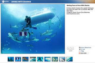 Stuart Cove’s Dive Bahamas on ABCNews.com