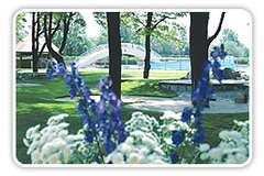 Ljubljana Campsite