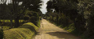 Sark is one of the only islands in the world with no cars allowed - horse and carriage, bicycles and tractors are the only modes of transport