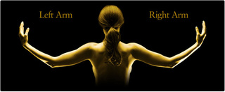 Hand and Wrist Institute Hand and Wrist Institute