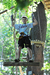 A young visitor enjoys one of the "aerial bridges" at the Outdoor Adventure Park at Sandy Spring, Maryland (another Park built and operated by Outdoor Ventures Group, LLC)