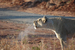 Travel experts like Africa Adventure Consultants can make even an Africa "Big Five" safari kid-friendly &copy; Africa Adventure Consultants