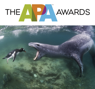 © 2012 Amos Nachoum <br />
Best of Show, THE APA AWARDS 2012 © 2012 Amos Nachoum <br />
Best of Show, THE APA AWARDS 2012