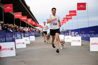 Runners with their dogs during 2012 Inaugural race in Del Mar.