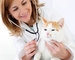 Pet Health Insurance. 