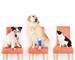 Pet Insurance Australia. 