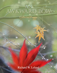 Rochester, MN Author Publishes Poetry Collection