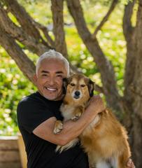 Pet Support Systems Partners with Cesar Millan to Provide Relief to Victims of Los Angeles Fires