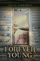 Pottsville, PA Author Publishes Realistic Fiction Novel