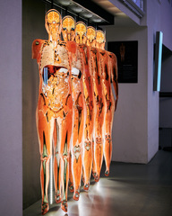 30 Years of BODY WORLDS - A Success Story That Has Changed the Way We See Ourselves
