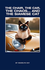 New Cozy Mystery Novel Coming Soon