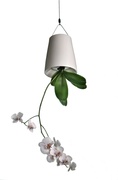 Introduce luscious green plants inside to invite nature indoors. Boskke Ceramic 'Sky Planters', small pots RRP $49.00.