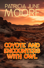 Waterflow, NM Author Publishes Children's Native American Folklore Book