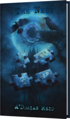 Rockford, IL Author Publishes Thriller Novel