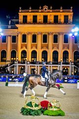 Palm Beach Motor Yachts joins as a Partner of the 4* Dressage Event at the Longines Global Champions Tour Vienna 2026