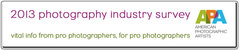APA 2013 Photography Industry Survey