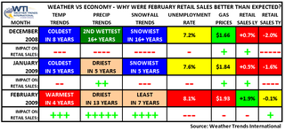 Weather Trends International's February 2009 Retail Sales & Weather Summary