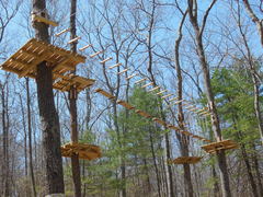 Tree platforms and "aerial trails" under construction at the new Adventure Park at Storrs. (Photo by Anthony Wellman)
