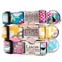 Mimi Green Reveals New Spring 2013 Collection: Playful and Bright Custom Dog Collars Hand Made in the USA