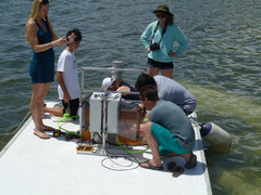 Teens4Oceans students working on equipment on the floating platfrom in Grand Cayman.