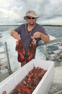 Taming the Lionfish: Cayman Fights Back Against the Invaders