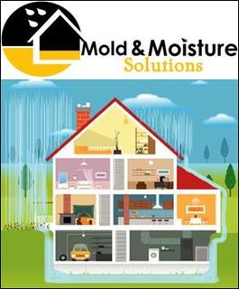 Mold and Moisture Solutions Announces Crawl Space Encapsulation System