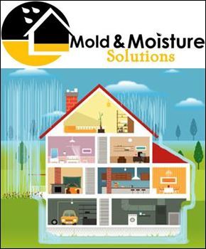 Mold & Moisture Solutions