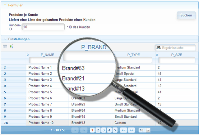 Database Archiving Solution Chronos can be highly customized