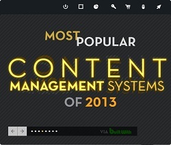 Yellow Bridge Interactive Infographic: Most Popular Content Management Systems of 2013