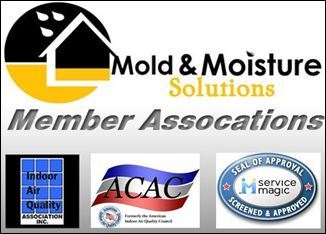 Mold & Moisture Solutions