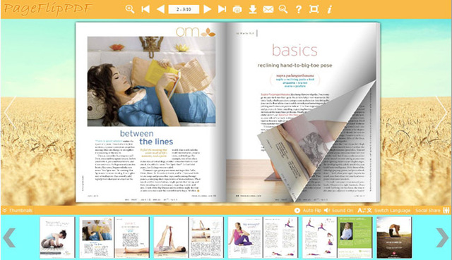 pdf to flash page flip ebook!<br />
