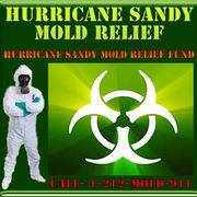 NYC Environmental Services For Hurricane Sandy Relief
