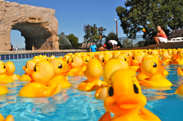 Rubber Ducky Derby