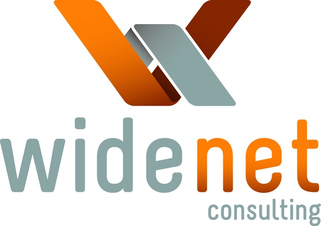 WideNet Consulting Logo