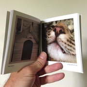 A Printrgram photo book