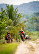 No ordinary trail ride, there will be opportunities to canter!