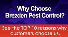 Need residential pest control? Brezden Pest Control is known as the "Property Owner's favorite" for their comprehensive San Luis Obispo pest control services. 