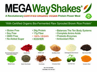 Introducing A Revolutionary Certified Organic VEGAN Protein Power Meal
