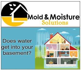 Mold & Moisture Solutions