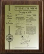 US Patent 8531355